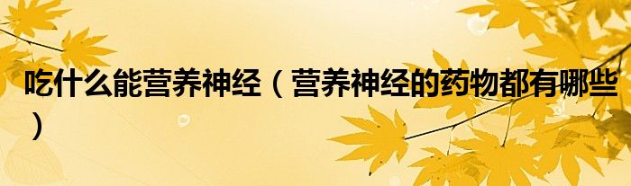 吃什么能營養(yǎng)神經(jīng)（營養(yǎng)神經(jīng)的藥物都有哪些）