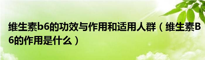 維生素b6的功效與作用和適用人群（維生素B6的作用是什么）