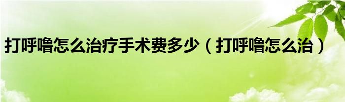 打呼嚕怎么治療手術(shù)費多少（打呼嚕怎么治）