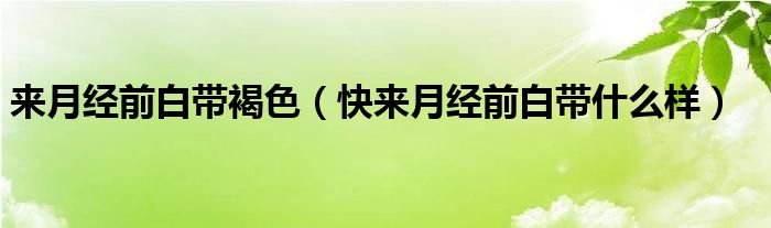 來月經(jīng)前白帶褐色（快來月經(jīng)前白帶什么樣）