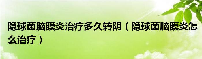 隱球菌腦膜炎治療多久轉(zhuǎn)陰（隱球菌腦膜炎怎么治療）