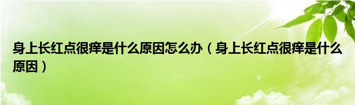 身上長(zhǎng)紅點(diǎn)很癢是什么原因怎么辦（身上長(zhǎng)紅點(diǎn)很癢是什么原因）