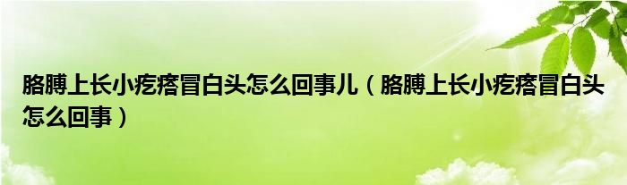 胳膊上長小疙瘩冒白頭怎么回事兒（胳膊上長小疙瘩冒白頭怎么回事）