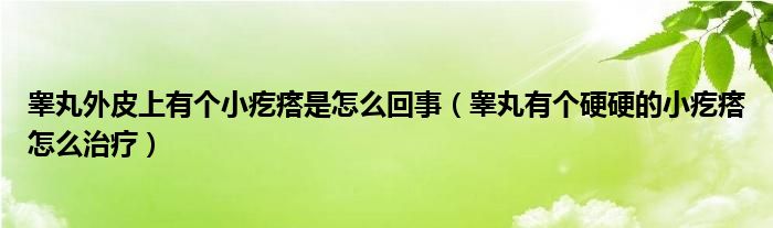 睪丸外皮上有個小疙瘩是怎么回事（睪丸有個硬硬的小疙瘩怎么治療）