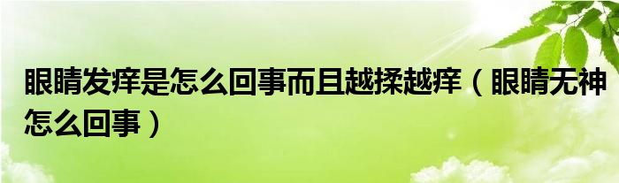 眼睛發(fā)癢是怎么回事而且越揉越癢（眼睛無神怎么回事）