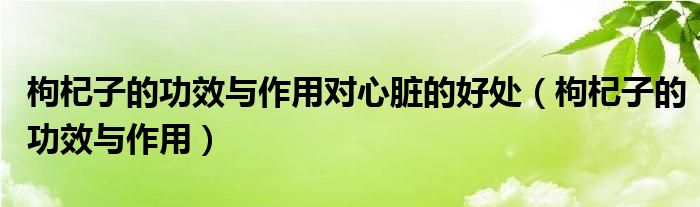 枸杞子的功效與作用對心臟的好處（枸杞子的功效與作用）