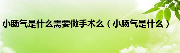 小腸氣是什么需要做手術(shù)么（小腸氣是什么）