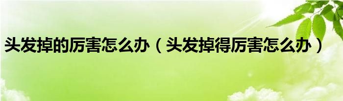 頭發(fā)掉的厲害怎么辦（頭發(fā)掉得厲害怎么辦）