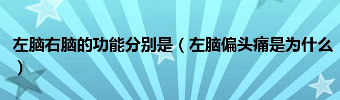 左腦右腦的功能分別是（左腦偏頭痛是為什么）