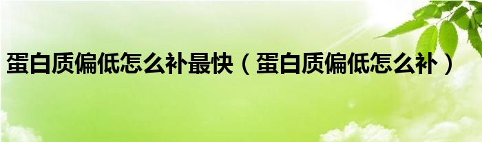 蛋白質(zhì)偏低怎么補最快（蛋白質(zhì)偏低怎么補）