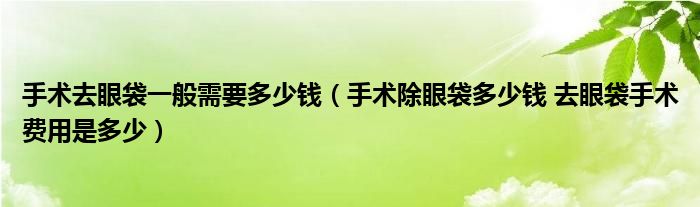 手術(shù)去眼袋一般需要多少錢（手術(shù)除眼袋多少錢 去眼袋手術(shù)費用是多少）