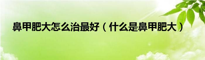 鼻甲肥大怎么治最好（什么是鼻甲肥大）