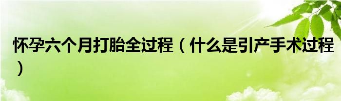 懷孕六個月打胎全過程（什么是引產(chǎn)手術過程）