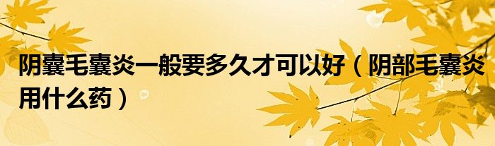 陰囊毛囊炎一般要多久才可以好（陰部毛囊炎用什么藥）