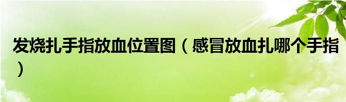 發(fā)燒扎手指放血位置圖（感冒放血扎哪個(gè)手指）