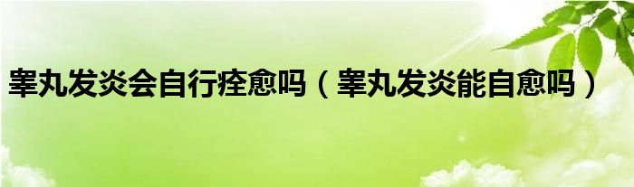 睪丸發(fā)炎會自行痊愈嗎（睪丸發(fā)炎能自愈嗎）