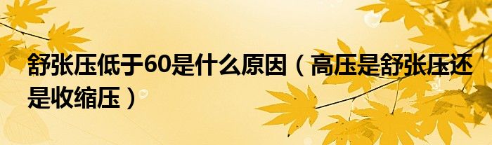 舒張壓低于60是什么原因（高壓是舒張壓還是收縮壓）