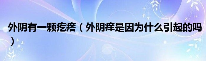 外陰有一顆疙瘩（外陰癢是因?yàn)槭裁匆鸬膯幔? /></span>
		<span id=