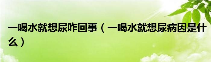 一喝水就想尿咋回事（一喝水就想尿病因是什么）