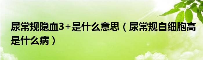 尿常規(guī)隱血3+是什么意思（尿常規(guī)白細(xì)胞高是什么?。? /></span>
		<span id=