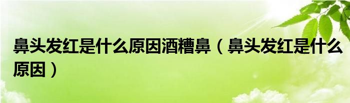 鼻頭發(fā)紅是什么原因酒糟鼻（鼻頭發(fā)紅是什么原因）