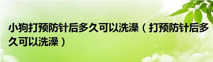 小狗打預(yù)防針后多久可以洗澡（打預(yù)防針后多久可以洗澡）