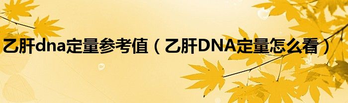 乙肝dna定量參考值（乙肝DNA定量怎么看）