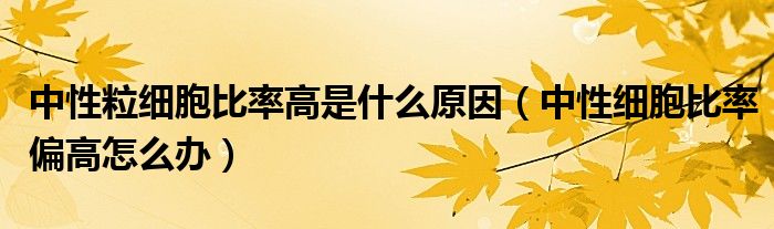 中性粒細(xì)胞比率高是什么原因（中性細(xì)胞比率偏高怎么辦）