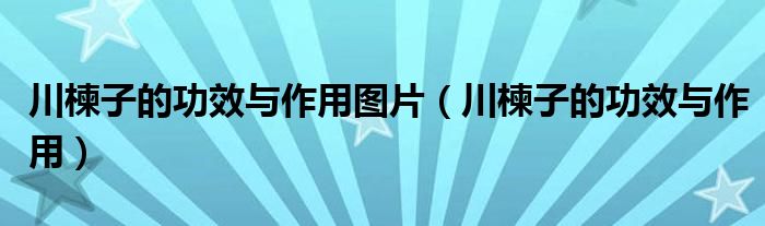 川楝子的功效與作用圖片（川楝子的功效與作用）