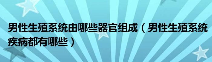 男性生殖系統(tǒng)由哪些器官組成（男性生殖系統(tǒng)疾病都有哪些）