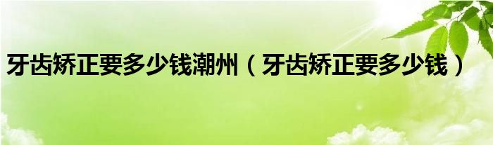 牙齒矯正要多少錢潮州（牙齒矯正要多少錢）