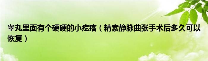 睪丸里面有個(gè)硬硬的小疙瘩（精索靜脈曲張手術(shù)后多久可以恢復(fù)）