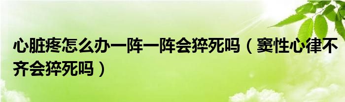 心臟疼怎么辦一陣一陣會猝死嗎（竇性心律不齊會猝死嗎）