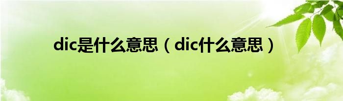 dic是什么意思（dic什么意思）