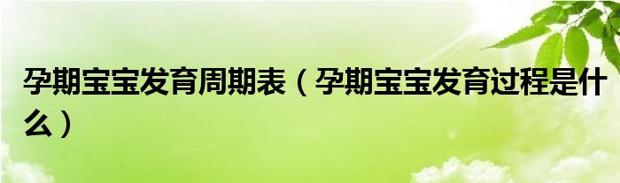 孕期寶寶發(fā)育周期表（孕期寶寶發(fā)育過(guò)程是什么）