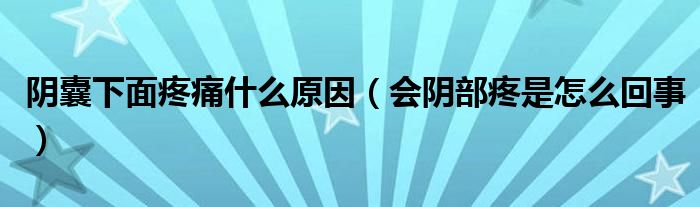 陰囊下面疼痛什么原因（會陰部疼是怎么回事）