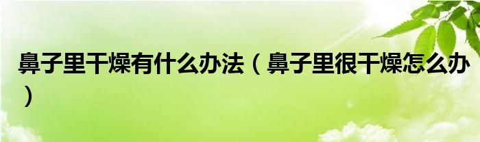 鼻子里干燥有什么辦法（鼻子里很干燥怎么辦）