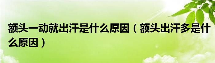 額頭一動(dòng)就出汗是什么原因（額頭出汗多是什么原因）