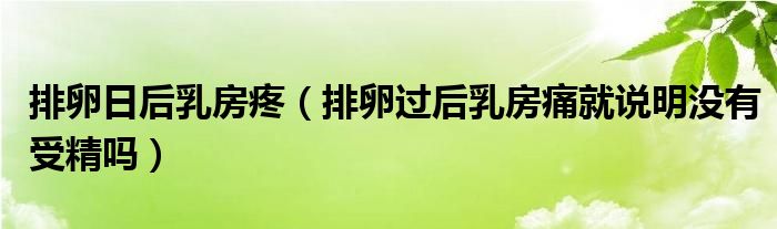 排卵日后乳房疼（排卵過后乳房痛就說明沒有受精嗎）