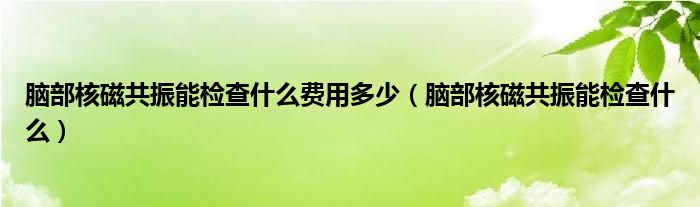 腦部核磁共振能檢查什么費(fèi)用多少（腦部核磁共振能檢查什么）