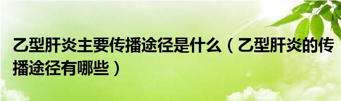 乙型肝炎主要傳播途徑是什么（乙型肝炎的傳播途徑有哪些）