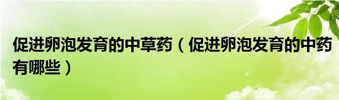 促進(jìn)卵泡發(fā)育的中草藥（促進(jìn)卵泡發(fā)育的中藥有哪些）