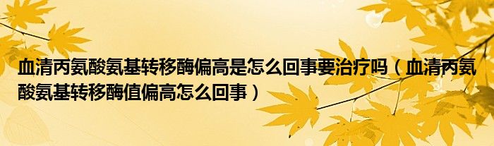 血清丙氨酸氨基轉(zhuǎn)移酶偏高是怎么回事要治療嗎（血清丙氨酸氨基轉(zhuǎn)移酶值偏高怎么回事）