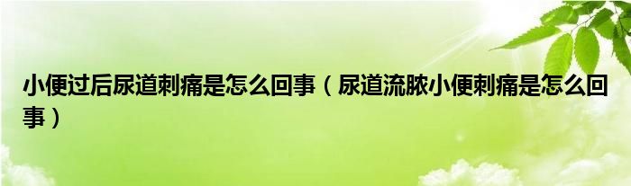 小便過(guò)后尿道刺痛是怎么回事（尿道流膿小便刺痛是怎么回事）