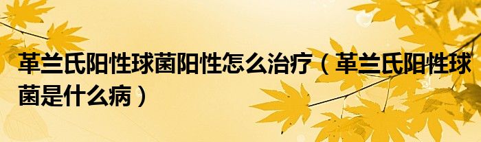 革蘭氏陽性球菌陽性怎么治療（革蘭氏陽性球菌是什么?。?class='thumb lazy' /></a>
		    <header>
		<h2><a  href=