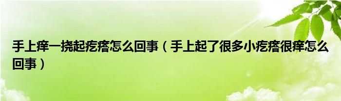 手上癢一撓起疙瘩怎么回事（手上起了很多小疙瘩很癢怎么回事）