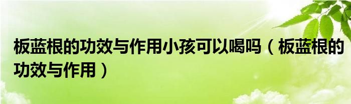 板藍(lán)根的功效與作用小孩可以喝嗎（板藍(lán)根的功效與作用）