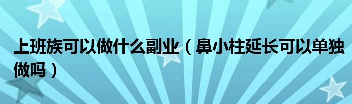 上班族可以做什么副業(yè)（鼻小柱延長可以單獨(dú)做嗎）