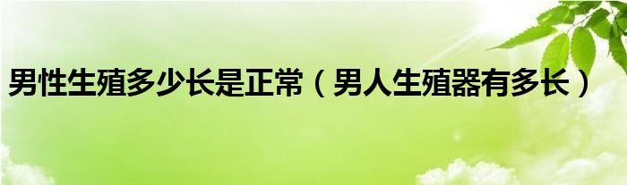 男性生殖多少長是正常（男人生殖器有多長）