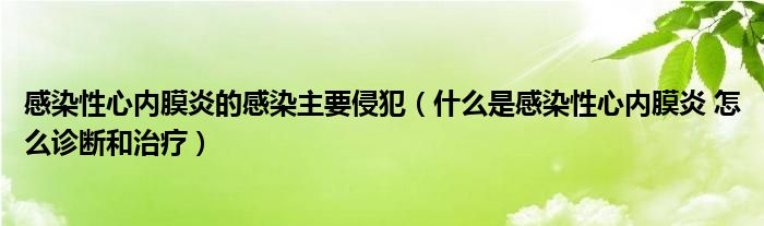 感染性心內膜炎的感染主要侵犯（什么是感染性心內膜炎 怎么診斷和治療）